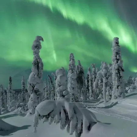 Appartement Design In Center With Free Parking *